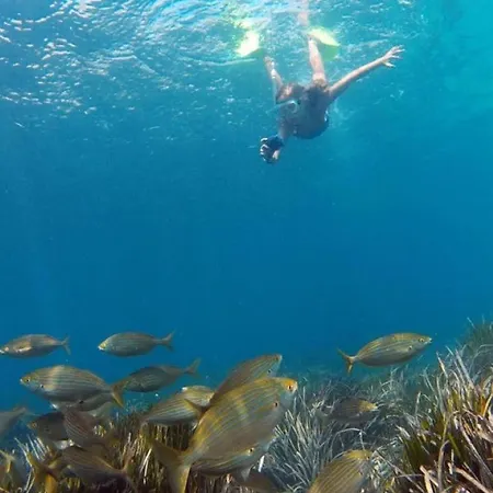 A838 - Calas - 2004 Finestrat S.l. דירה *